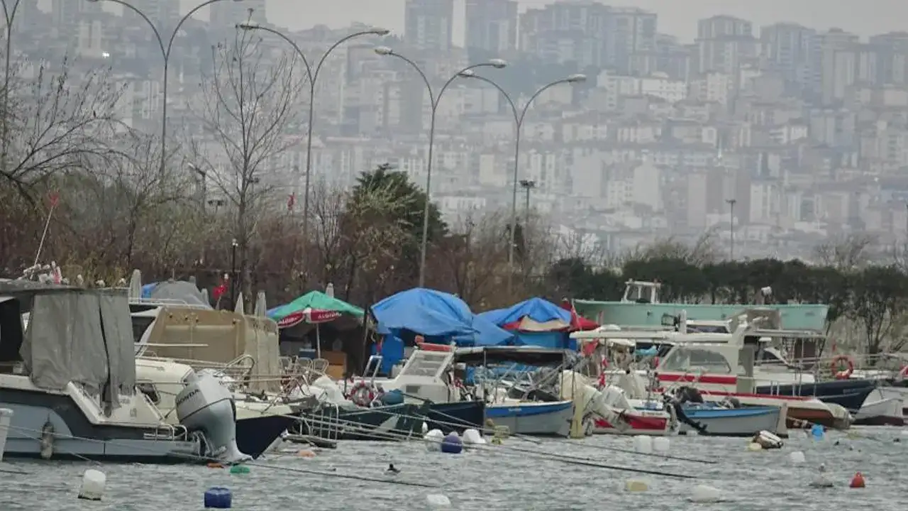 hamsi-turkiyeyi-terk-etti-hamsi-severler-dort-gozle-bekliyor