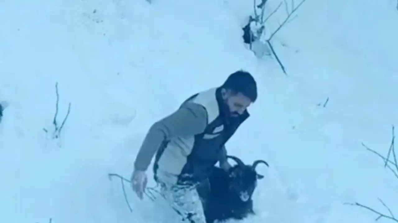 kardan-kapanan-yolda-duyarli-davranis-operator-kaybolan-keciyi-sahiplerine-ulastirdi