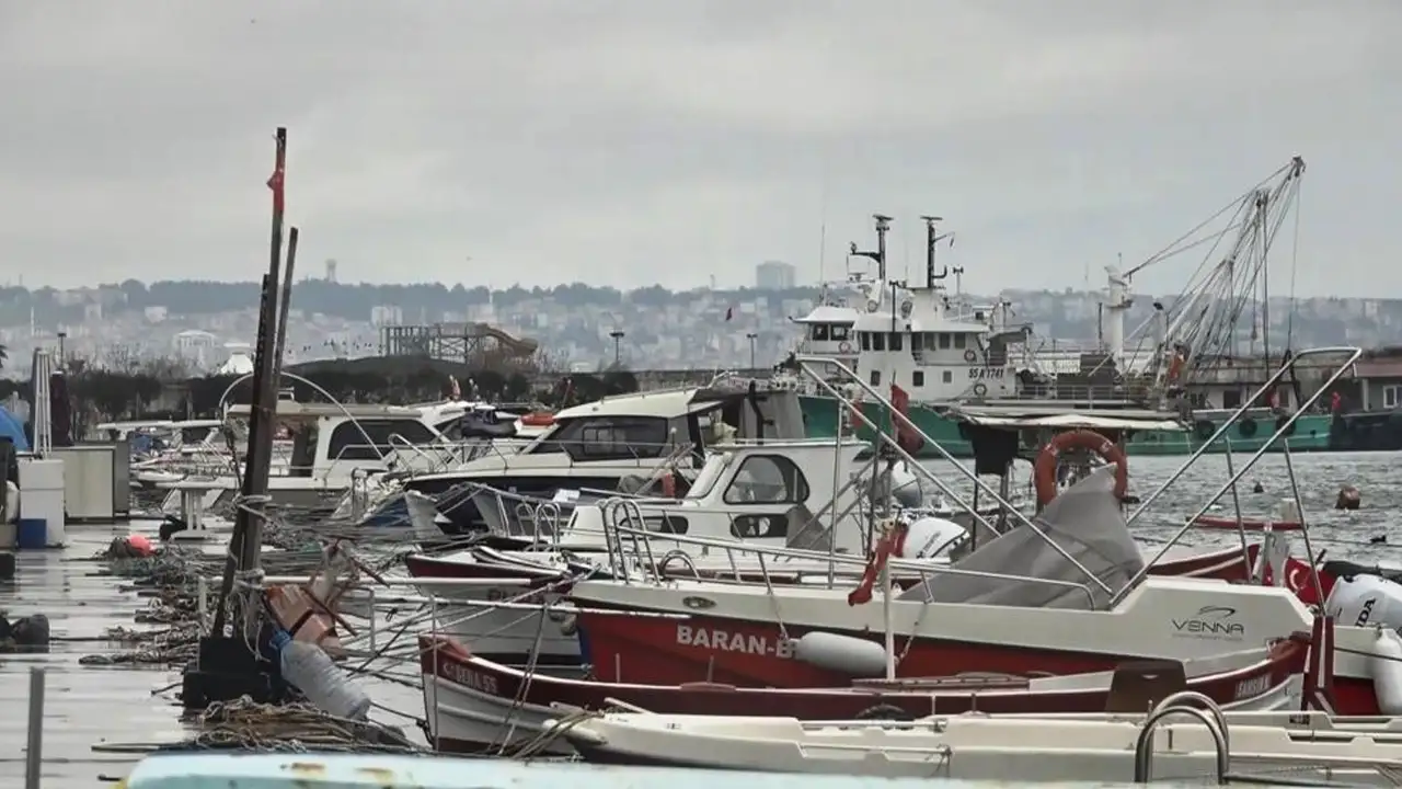 karadenizde-lufer-cikmazi-balik-var-tezgaha-gelmiyor