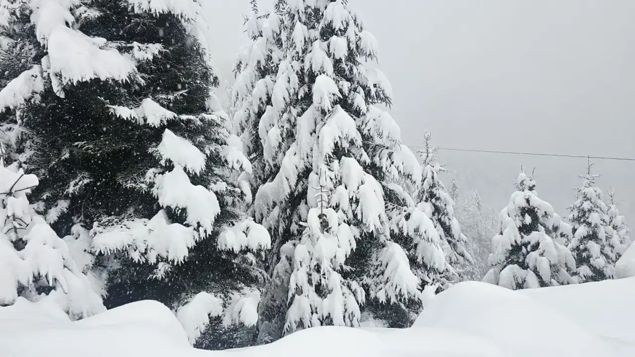 rizede-kar-sonrasi-31-koy-yolu-kapandi