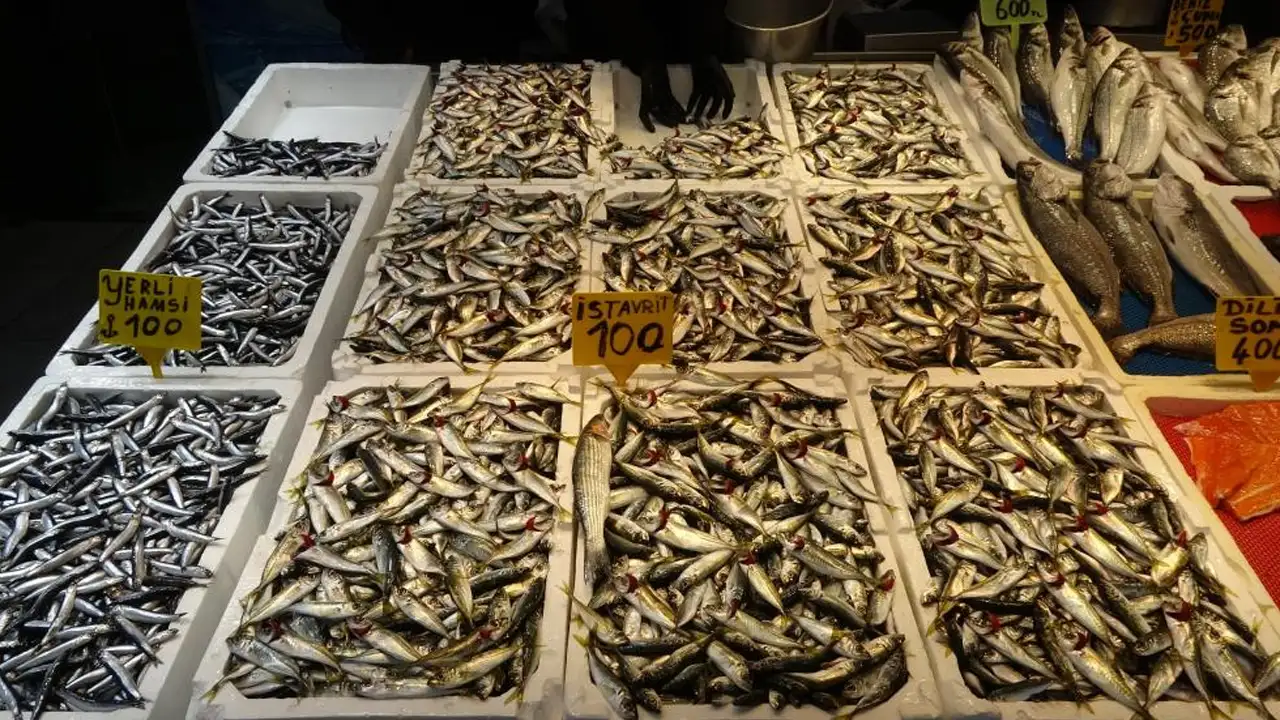 karadenizde-sezon-degisti-trabzonda-istavrit-zamani