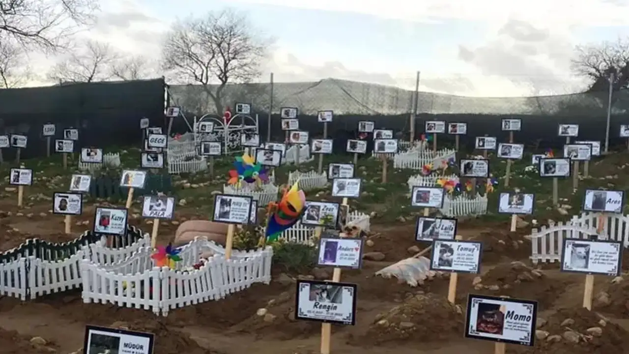 onlar-da-bir-mezar-yeri-hak-ediyor