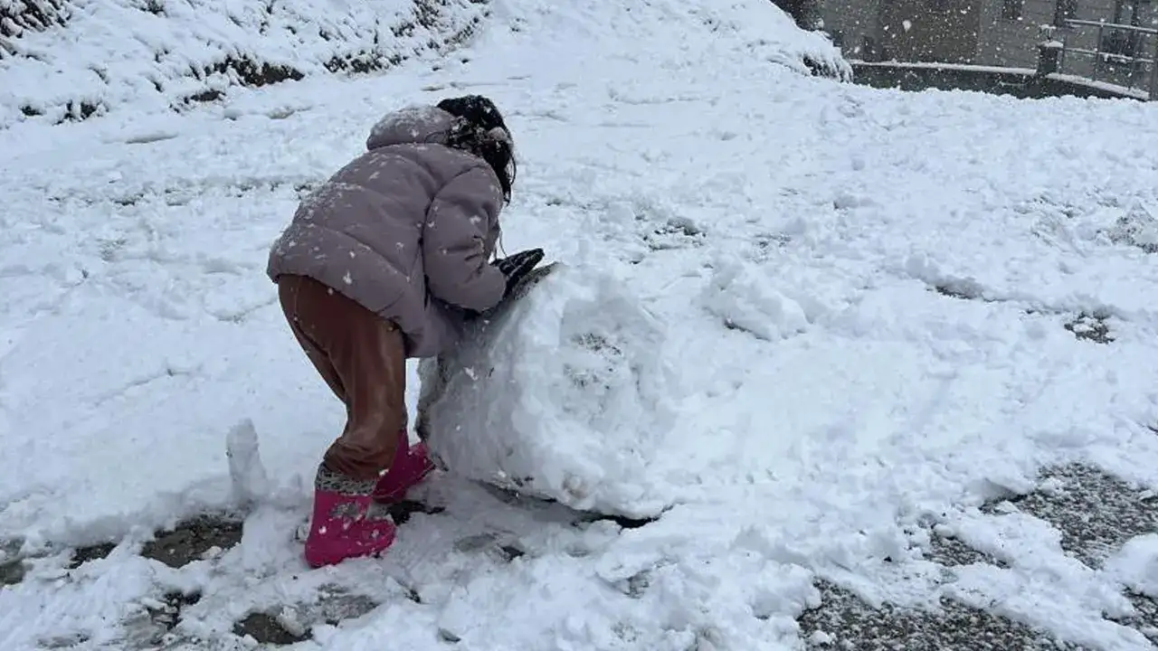 artvinde-kar-yagisi-yeniden-etkisini-artirdi