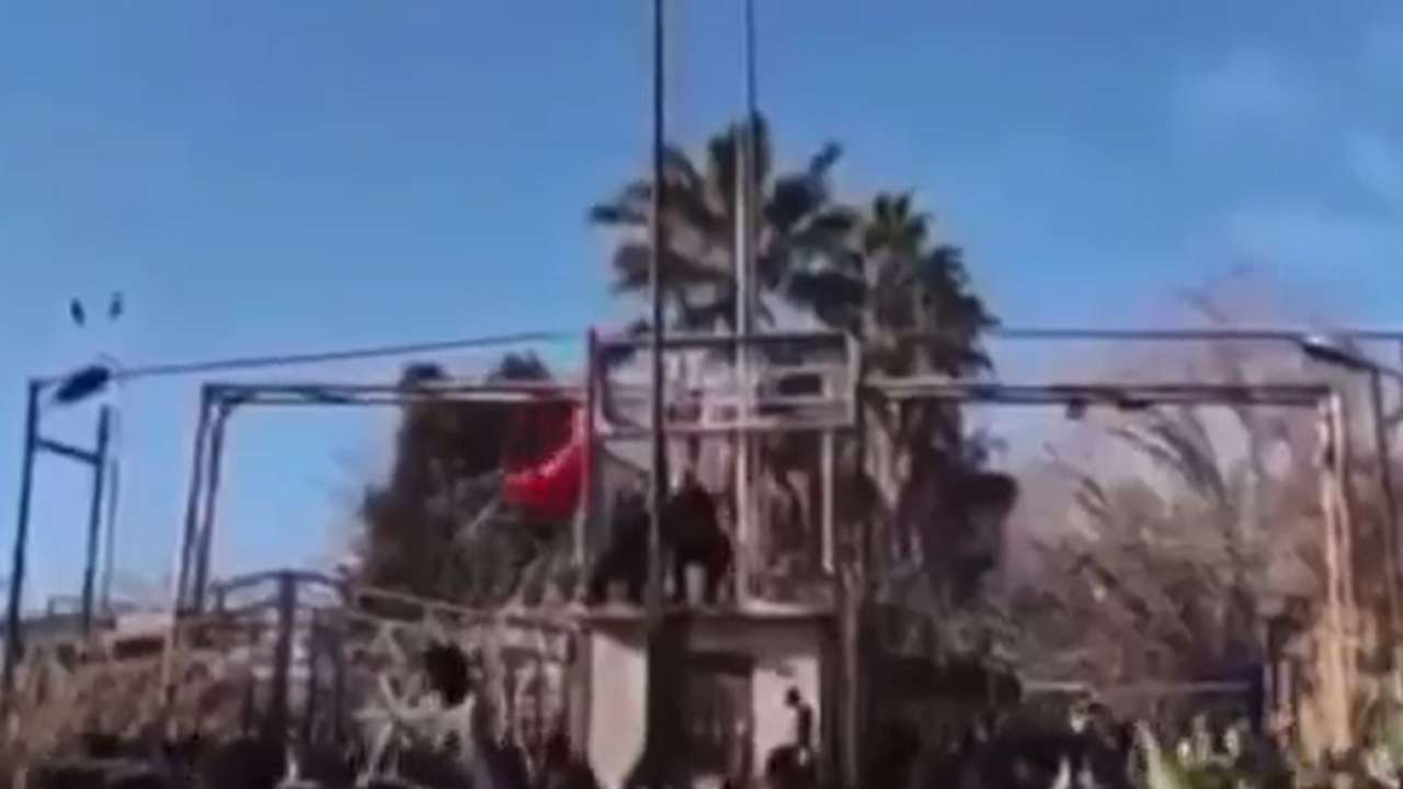 bakan-yerlikayadan-sinir-hattindaki-bayrak-saldirisina-sert-tepki