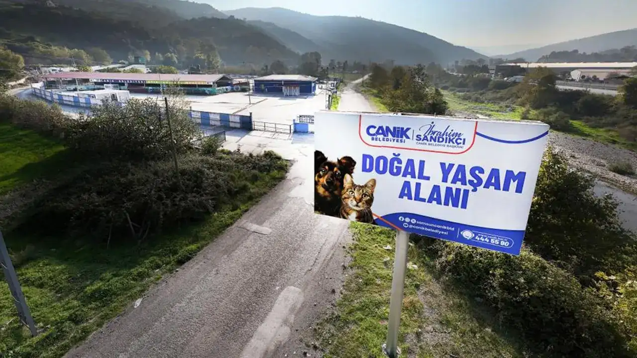 samsun-canik-belediyesi-sokak-hayvanlari-icin-yeni-projelerle-hizmette