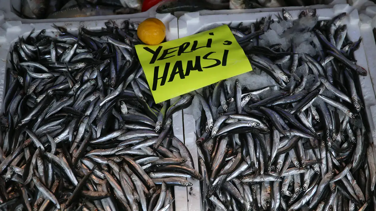 karadenizde-hamsi-salamurasi-sezonu-basladi-bidonla-satiliyor