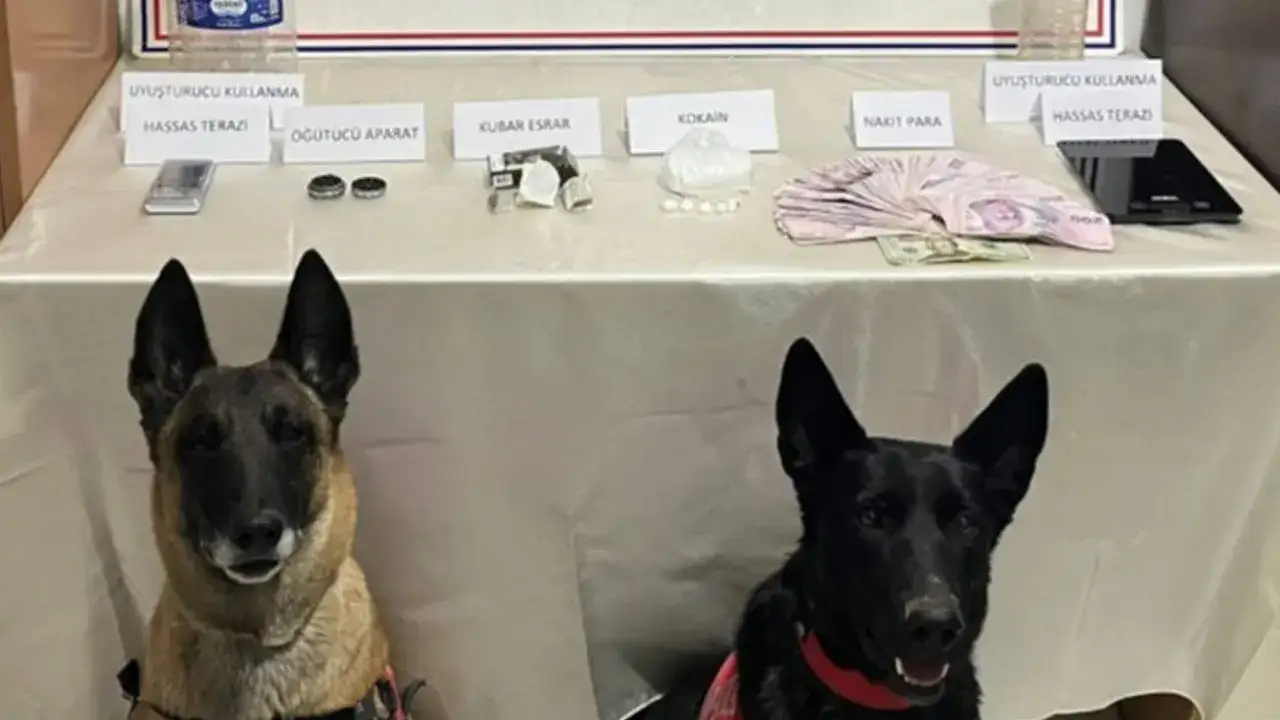 artvinde-uyusturucu-operasyonu-2-supheli-gozaltinda