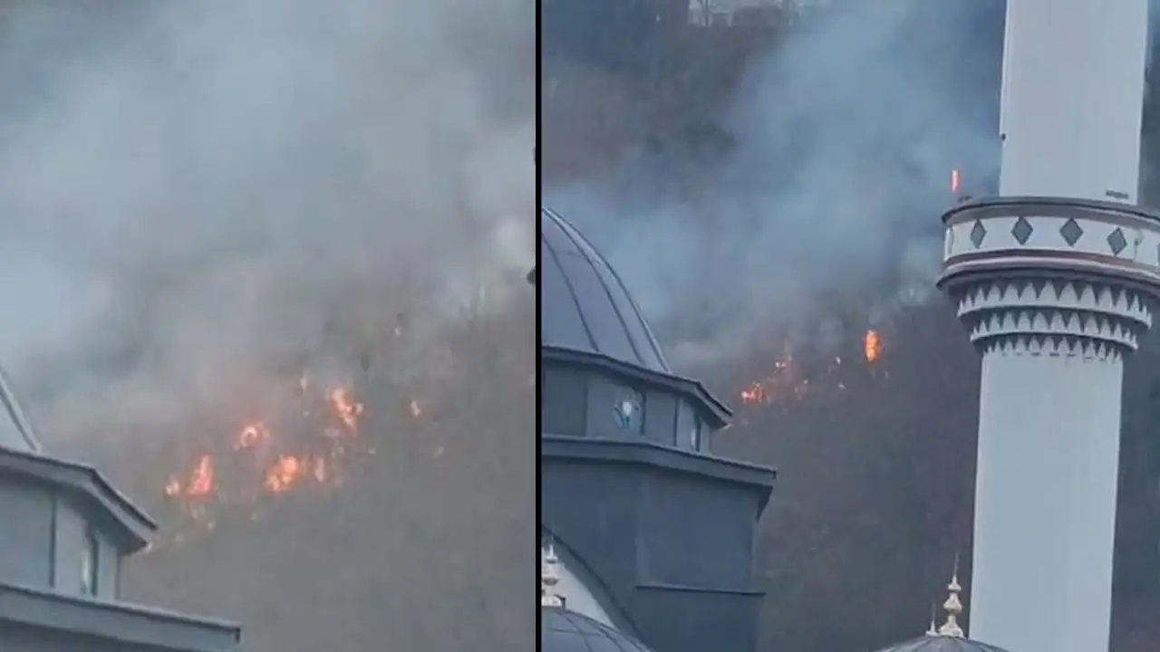 surmenede-aniz-yangini-can-aldi