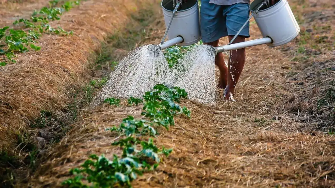 trabzon-kirsalinda-uretim-geriliyor-tarim-ve-hayvancilik-azaliyor