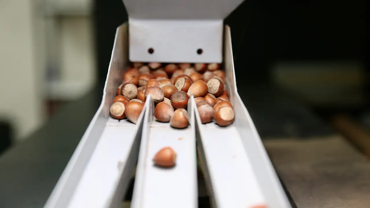 23-yasinda-patron-oldu-giresunda-findiga-deger-katan-basari-hikayesi