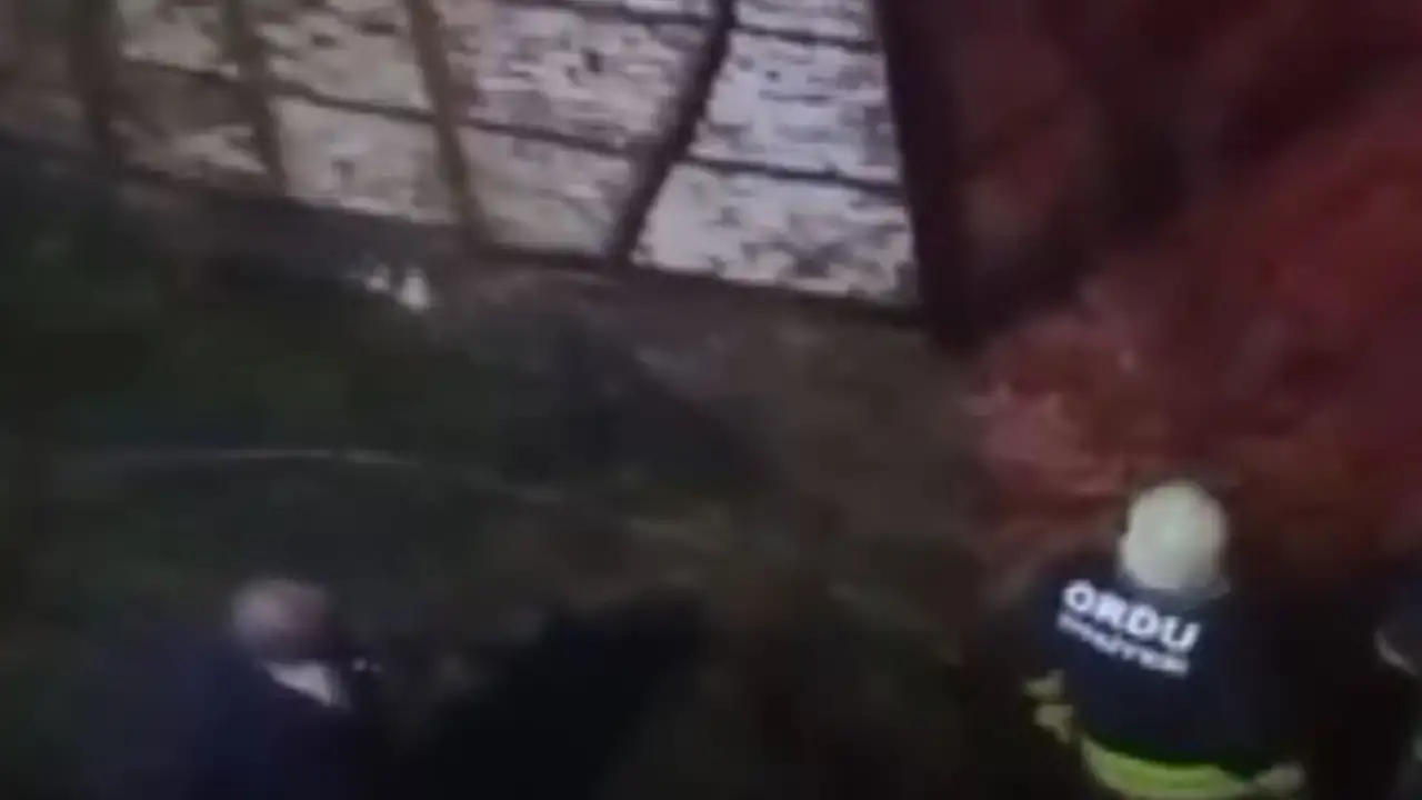 orduda-alevler-bir-anda-sardi-anne-ogul-son-anda-kurtuldu