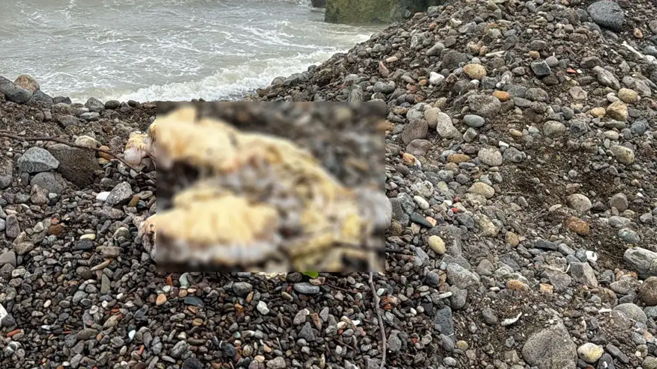 trabzonda-kayip-enes-terzinin-aramasi-firtina-nedeniyle-durduruldu