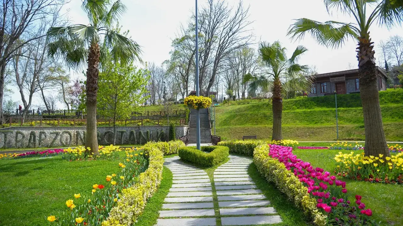 trabzonda-yesil-alan-hamlesi-milyonlarca-bitki-toprakla-bulustu