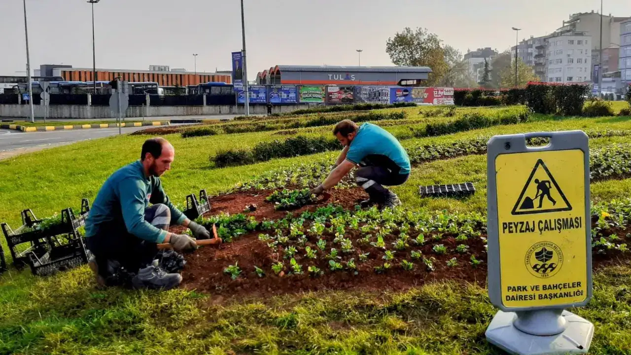 trabzonda-yesil-alan-hamlesi-milyonlarca-bitki-toprakla-bulustu