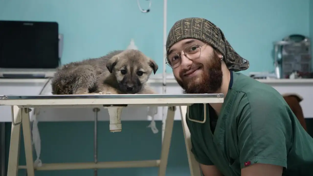 kop-daginda-yarali-buldugu-yavru-kopegi-kurtardi-soforun-duyarliligi-yurek-isitti