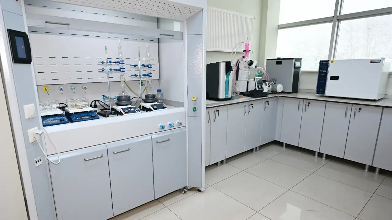 ktulu-akademisyenlerden-kolorektal-kanser-tedavisine-umut-veren-calisma