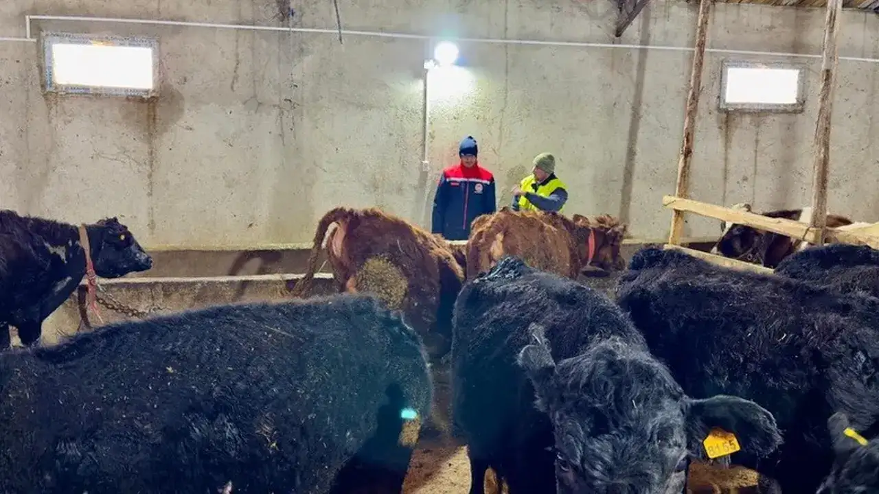 aydintepede-hayvanciliga-destek-projesi-suruyor