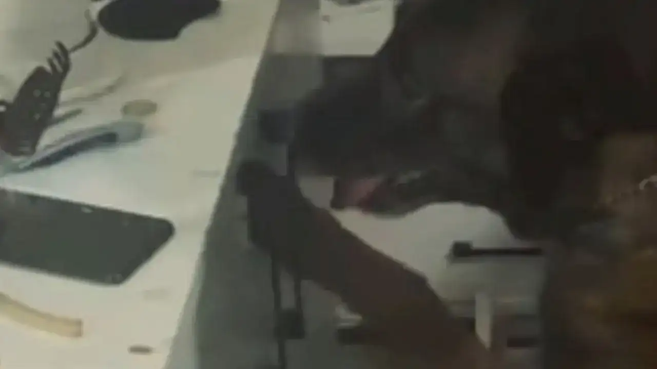 orduda-uyusturucu-operasyonu-3-supheli-tutuklandi