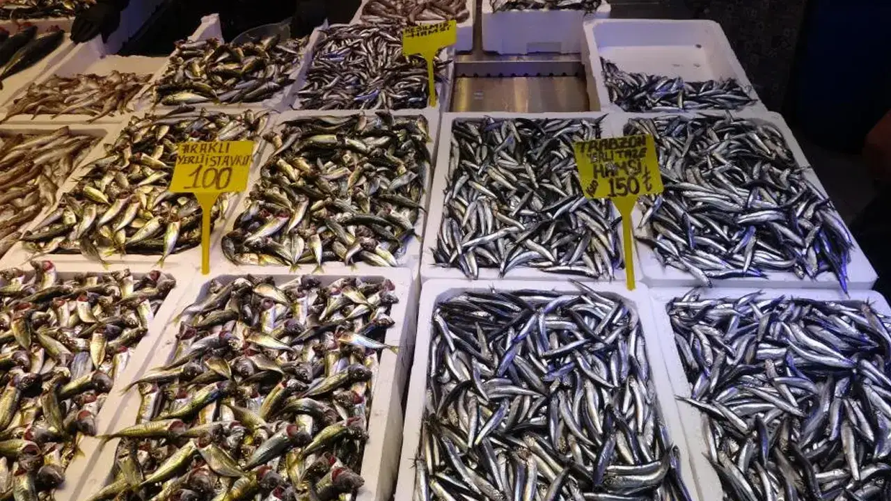 trabzonda-balik-tezgahlarinda-sasirtan-gelisme-yeniden-senlendi