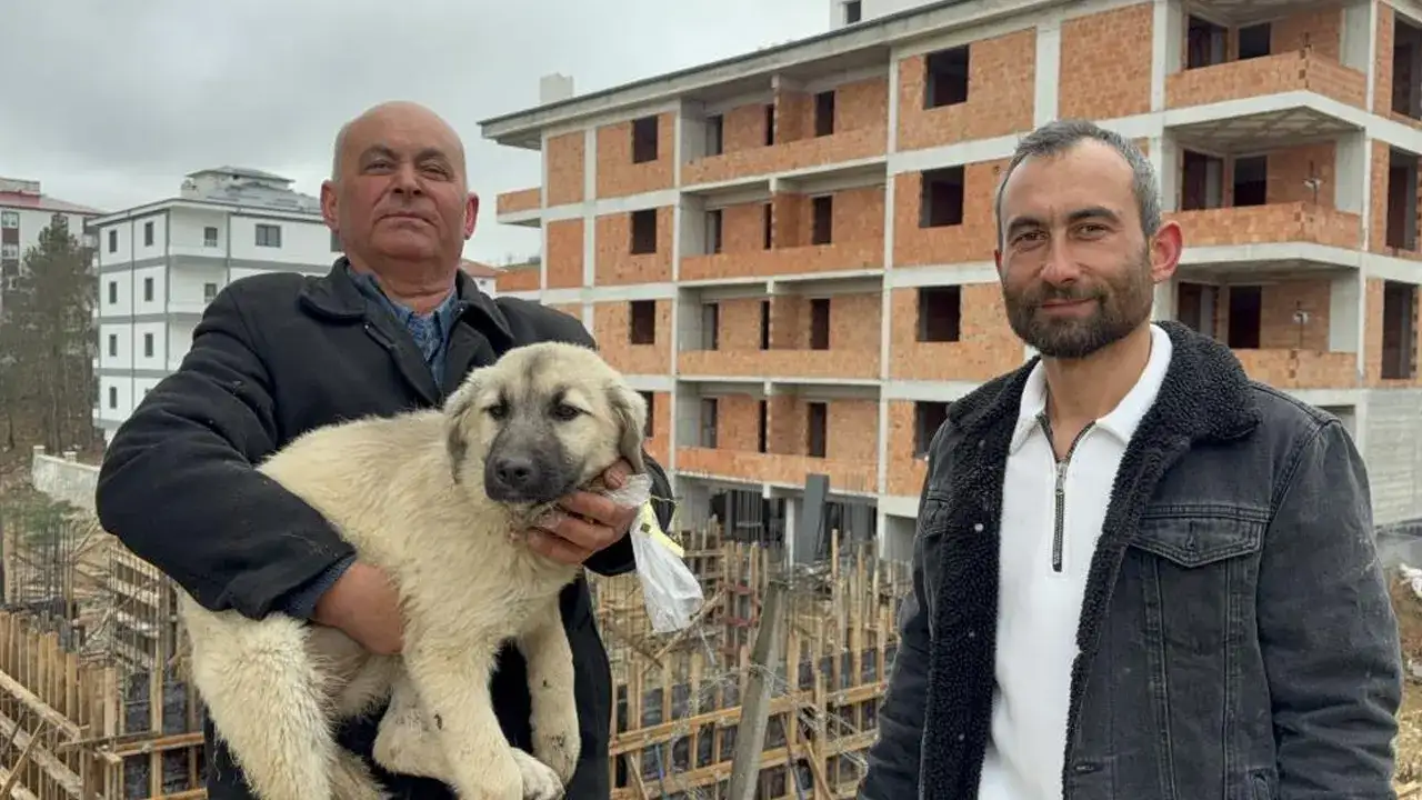 samsunda-yurek-isitan-kurtarma-yavru-kopegi-olumden-aldilar