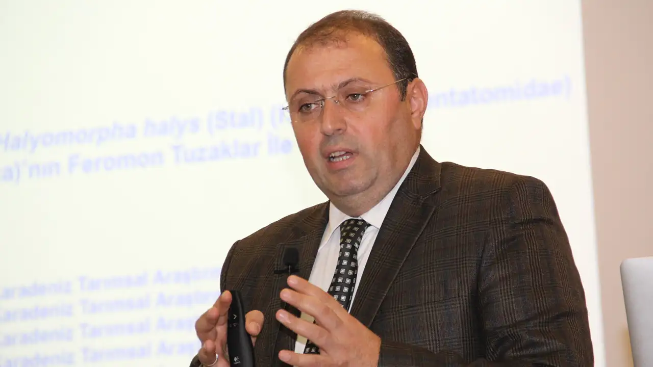 karadenizde-findik-icin-tehlike-canlari-kahverengi-kokarca-uyarisi-geldi