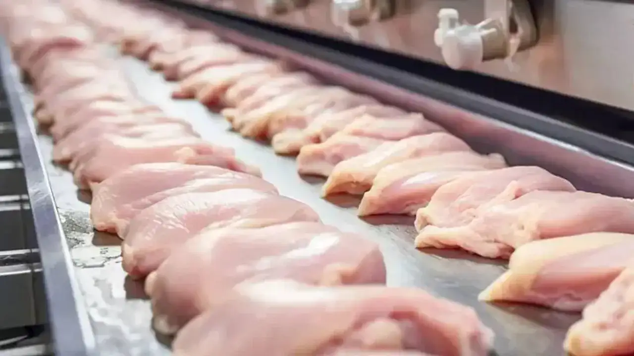 Araklı'daki bozuk tavuk skandalına çifte ceza: Yüz binlerce liralık  yaptırım uygulandı | Haber61 - Trabzon Haber