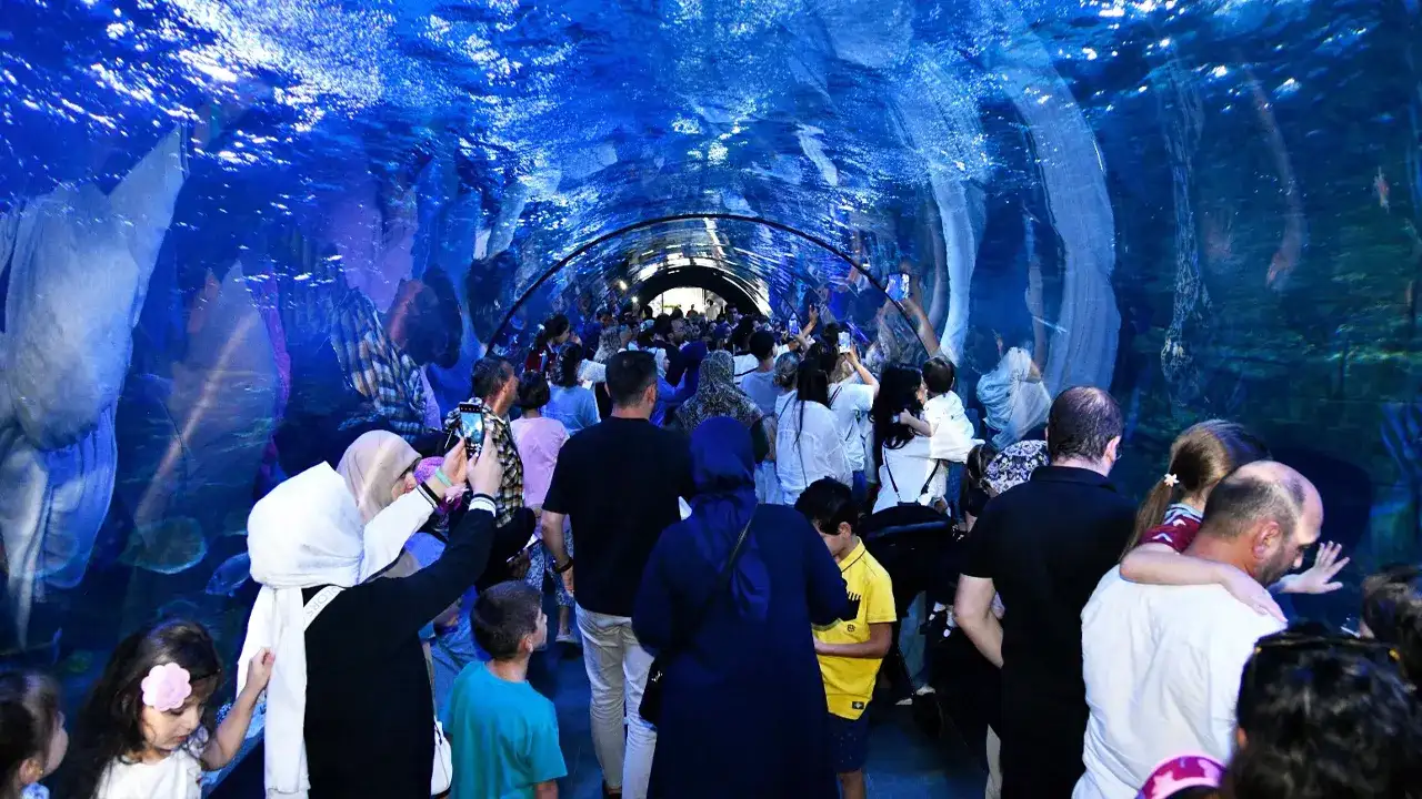 trabzon-akvaryumda-sevgililer-gunune-ozel-su-balesi-gosterisi