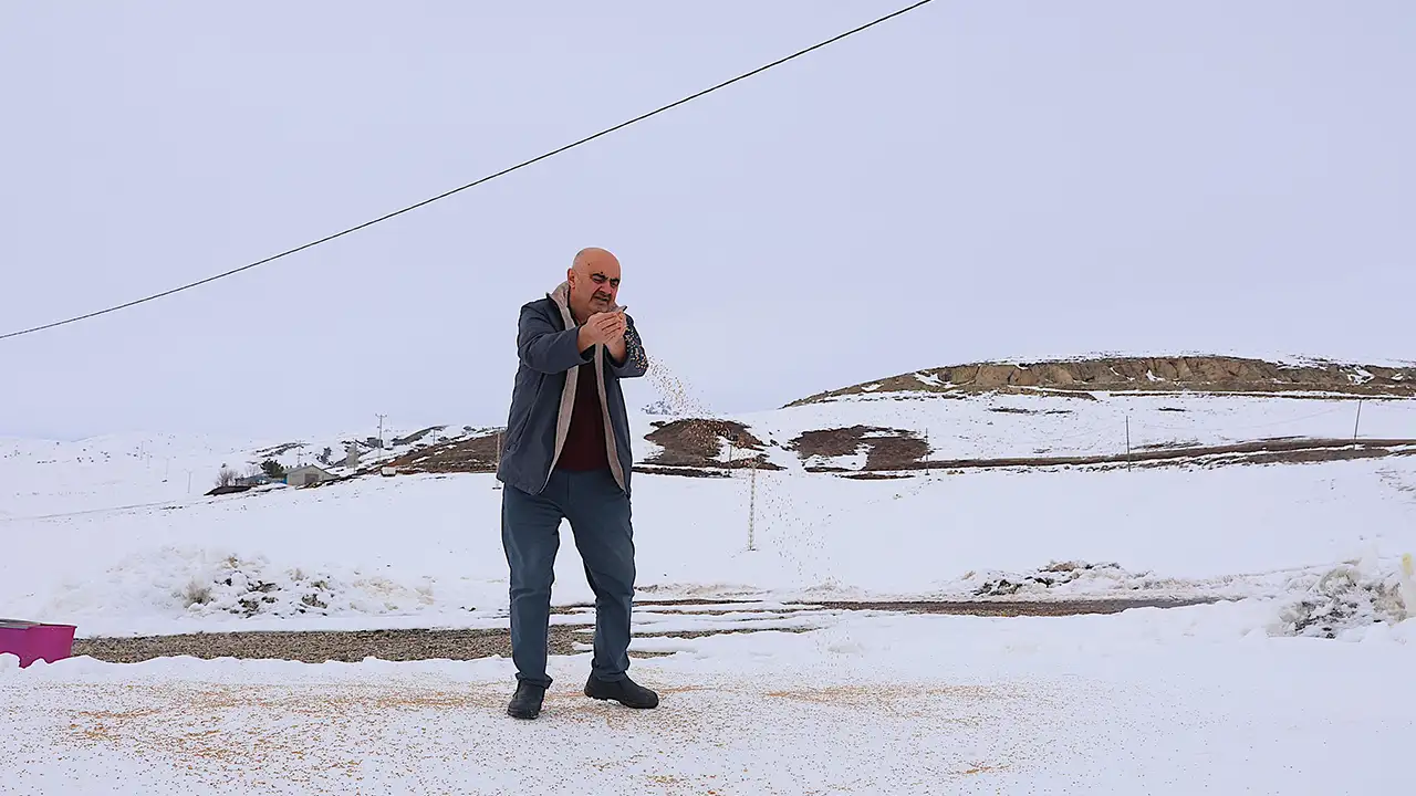 bayburtta-10-ton-hububati-kuslar-icin-dogaya-birakiyor