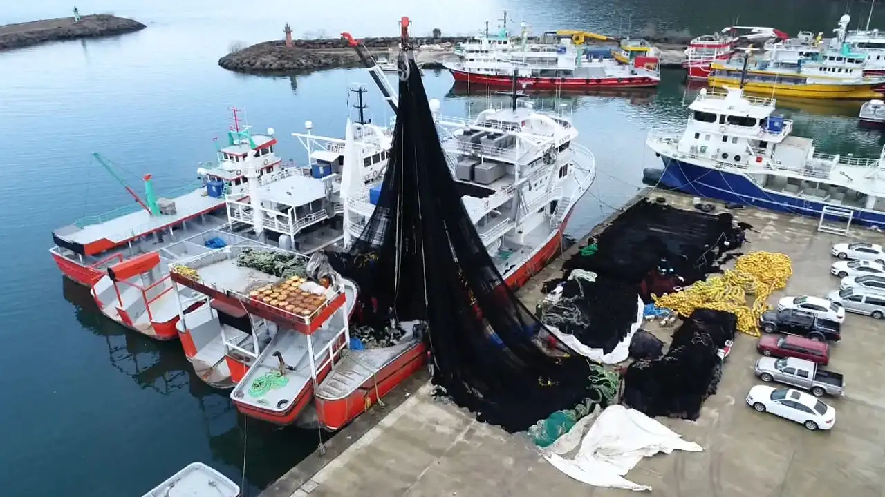 karadenizde-sessiz-katil-su-altinda-kilometrelerce-uzaniyor-cozum-ktuden-geldi