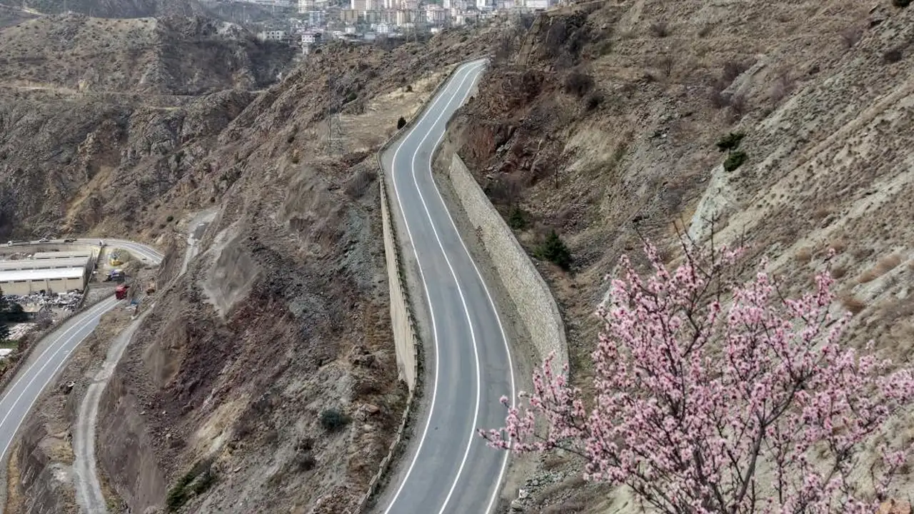 artvinde-yalanci-bahar-agaclar-erken-cicek-acti