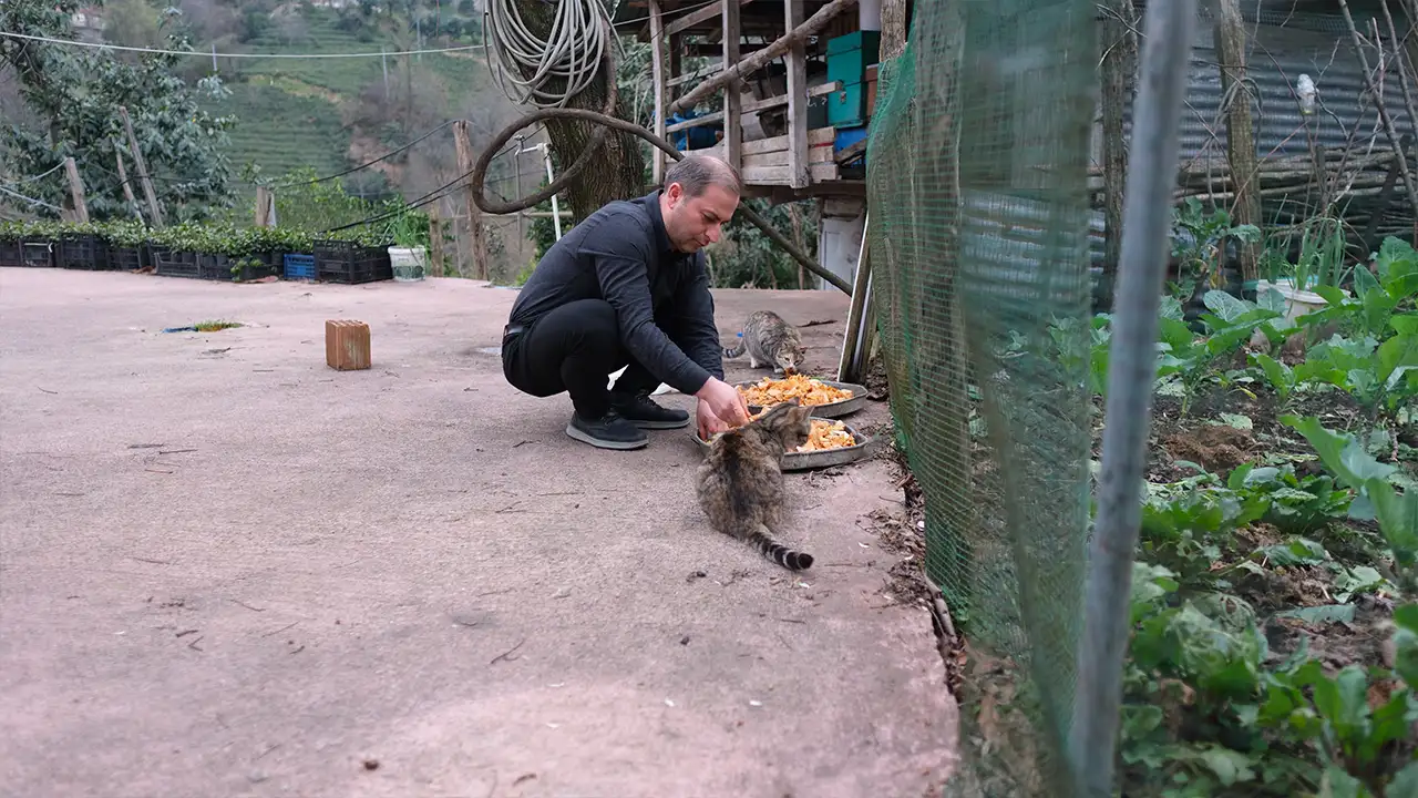 rizede-babadan-kalan-gelenek-lokantaci-artan-yemeklerle-sokak-hayvanlarini-besliyor