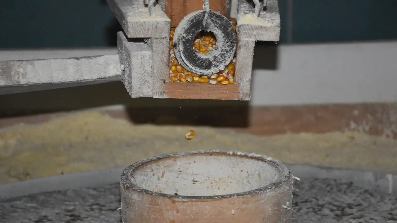 trabzonda-14-ulkeden-yabanci-ogrenciler-turk-mutfagini-ogreniyor