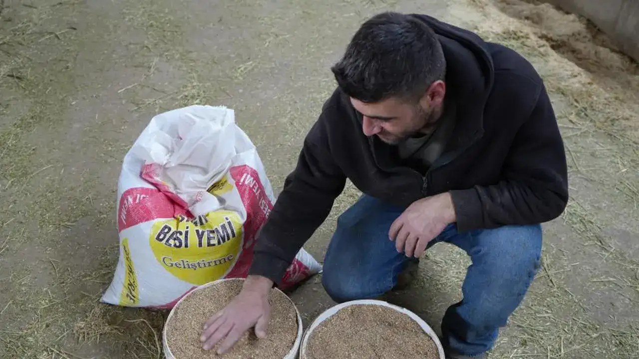 bayburtta-yem-destegi-ureticiye-nefes-aldirdi