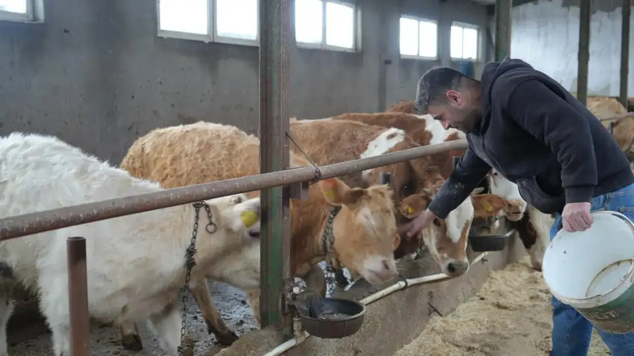 bayburtta-yem-destegi-ureticiye-nefes-aldirdi