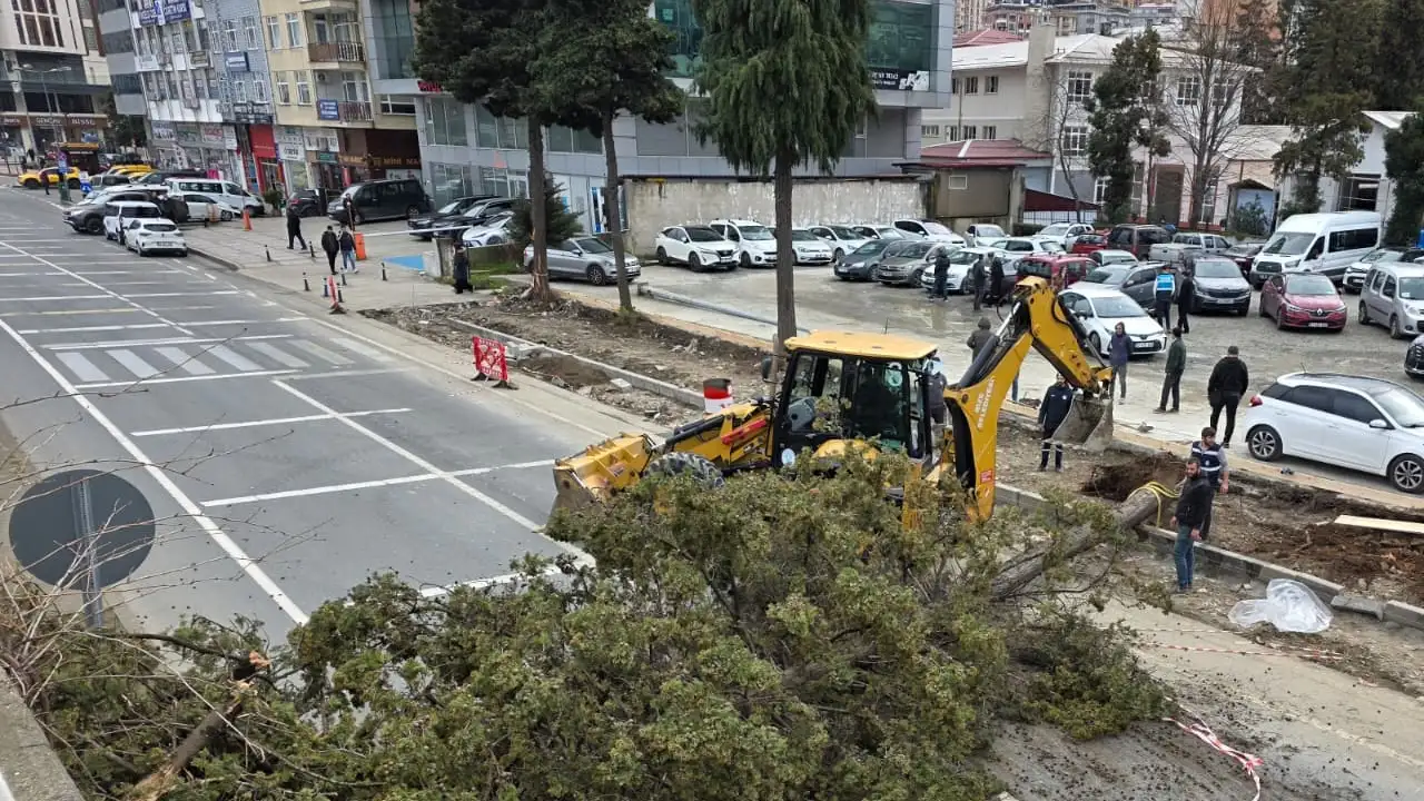 rizede-firtina-agaclari-devirdi-cadde-kapandi