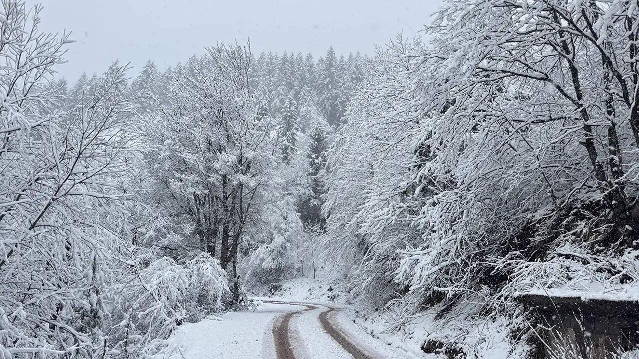 trabzonun-yuksek-kesimlerinde-kar-etkili-19-mahalle-icin-buyuksehir-sahada