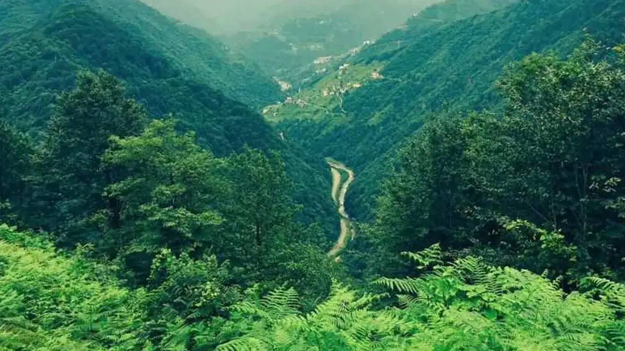 trabzonda-bazi-alanlar-orman-siniri-disina-cikarildi-resmi-gazetede-yayimlandi