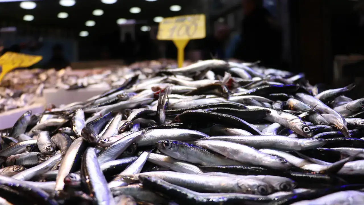 trabzonda-tezgahlar-senlendi-iste-guncel-balik-fiyatlari