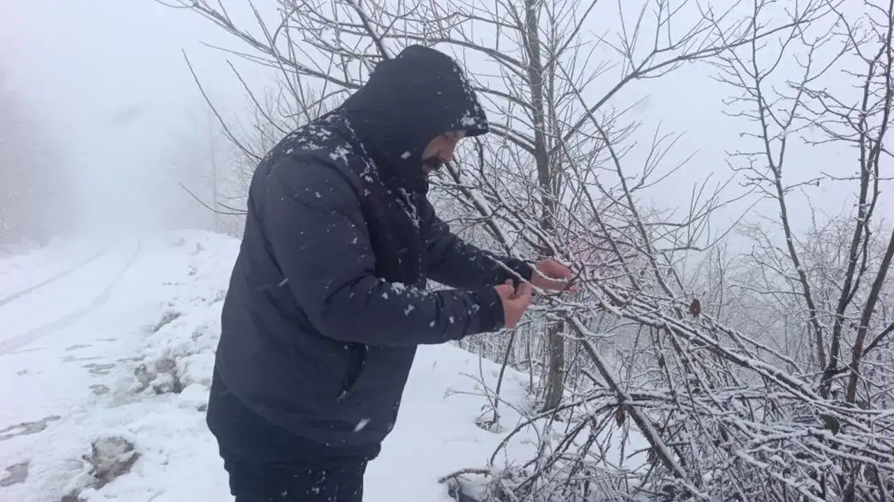 ordu-fatsada-kar-yagisi-findik-ureticisini-endiselendirdi