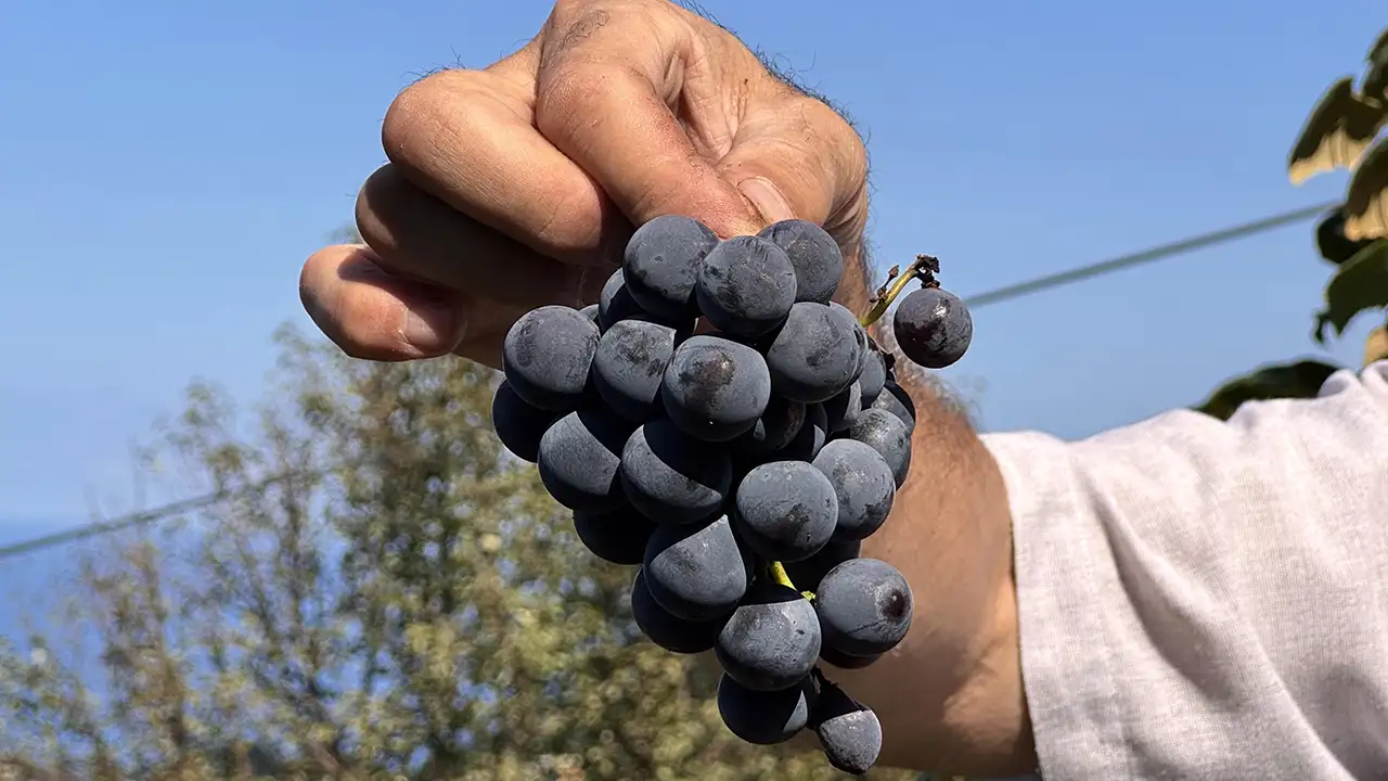 rize-mutfaginin-vazgecilmezi-cografi-isaretli-pepecura-tarifi-nasil-hazirlanir