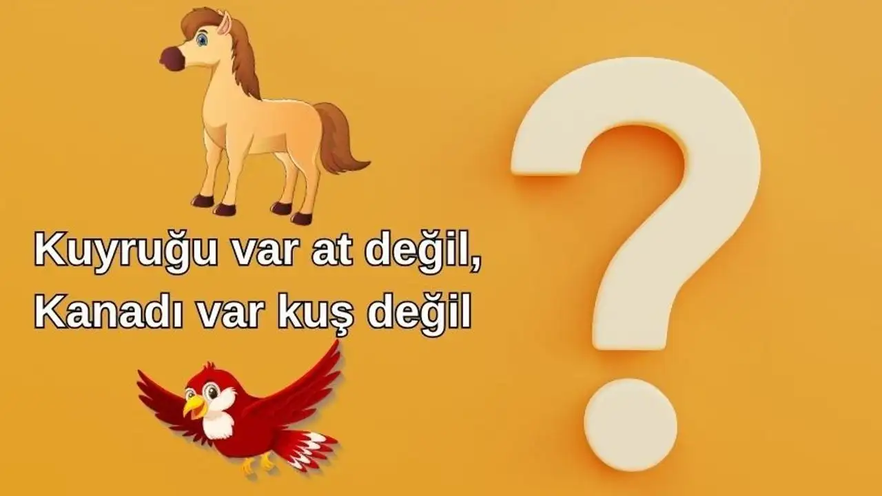 kuyrugu-var-at-degil-kanadi-var-kus-degil-bilmecesinin-cevabi-nedir