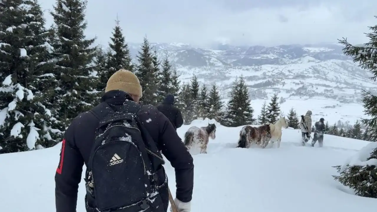 artvinde-3-aydir-kayip-olan-atlar-genclerin-cabasiyla-kurtarildi