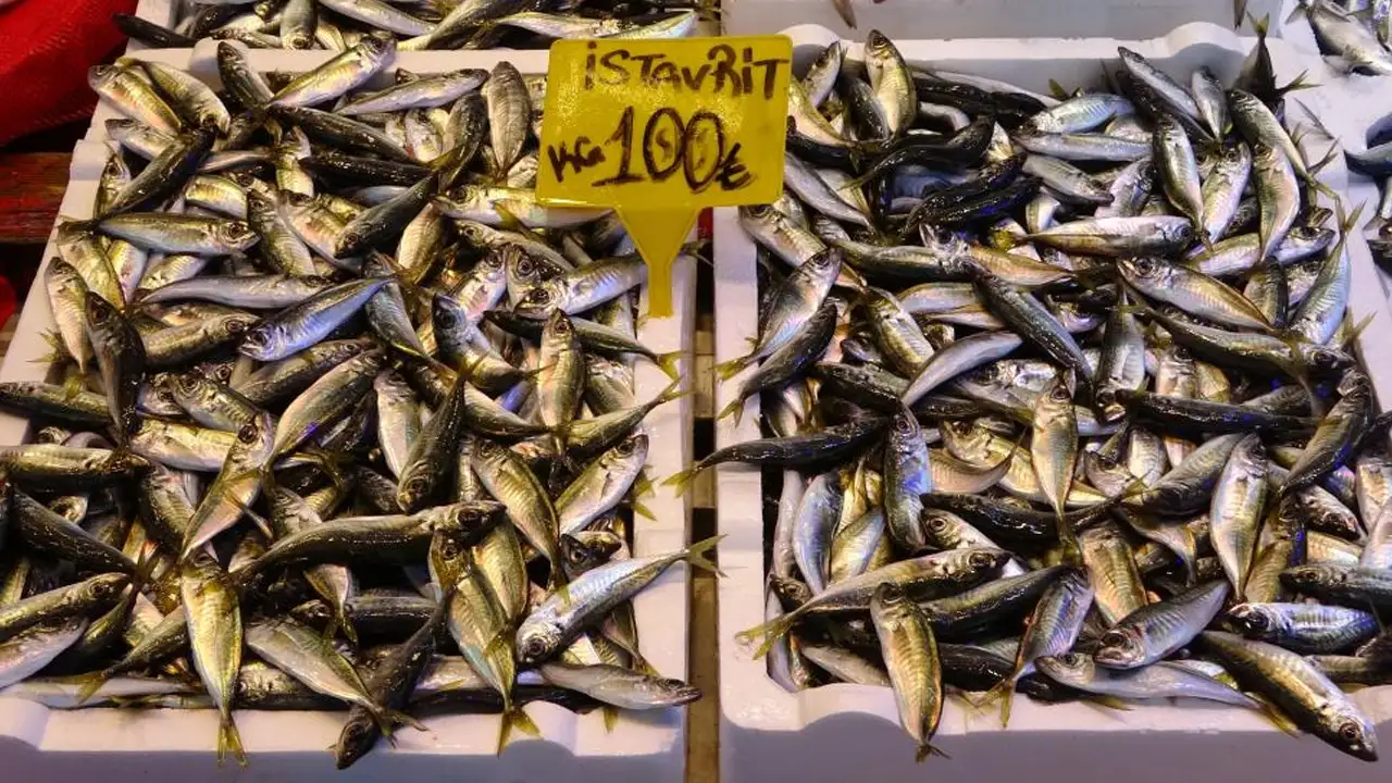 trabzonda-hamsi-tezgahlardan-cekildi-6-ay-sonra-ilk-kez-gorulmedi