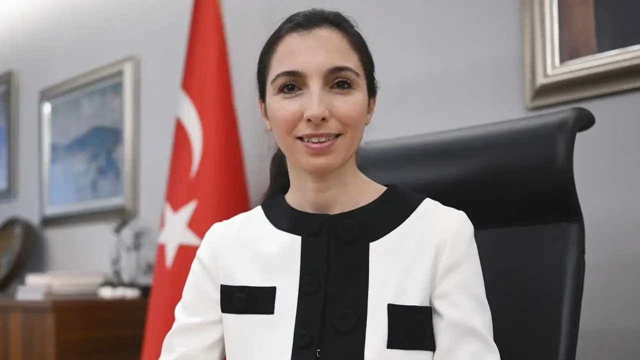 hafize-gaye-erkan-kimdir-yeni-gorevi-ne