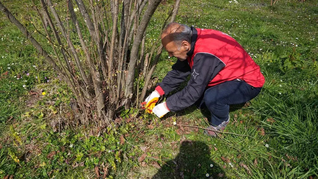 ortahisar-belediyesinden-findik-ureticilerine-egitim-destegi