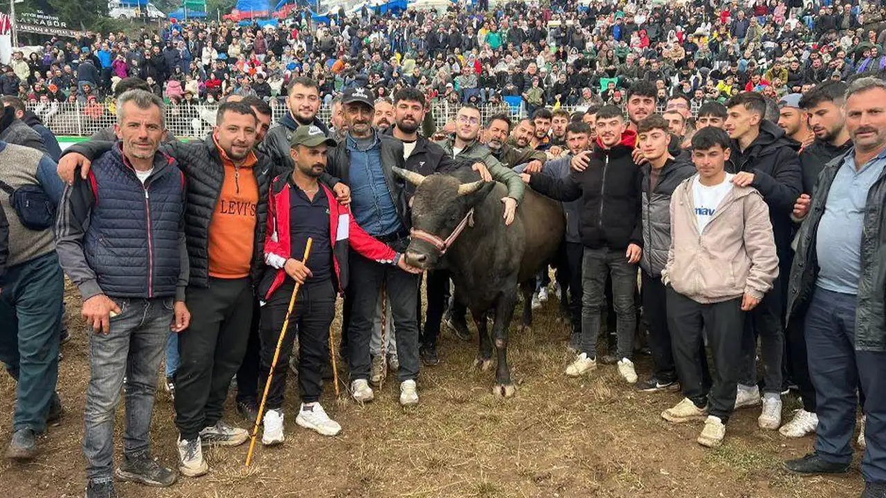 artvinde-boga-guresleri-heyecani-findik-ve-pekmezle-hazirlaniyorlar