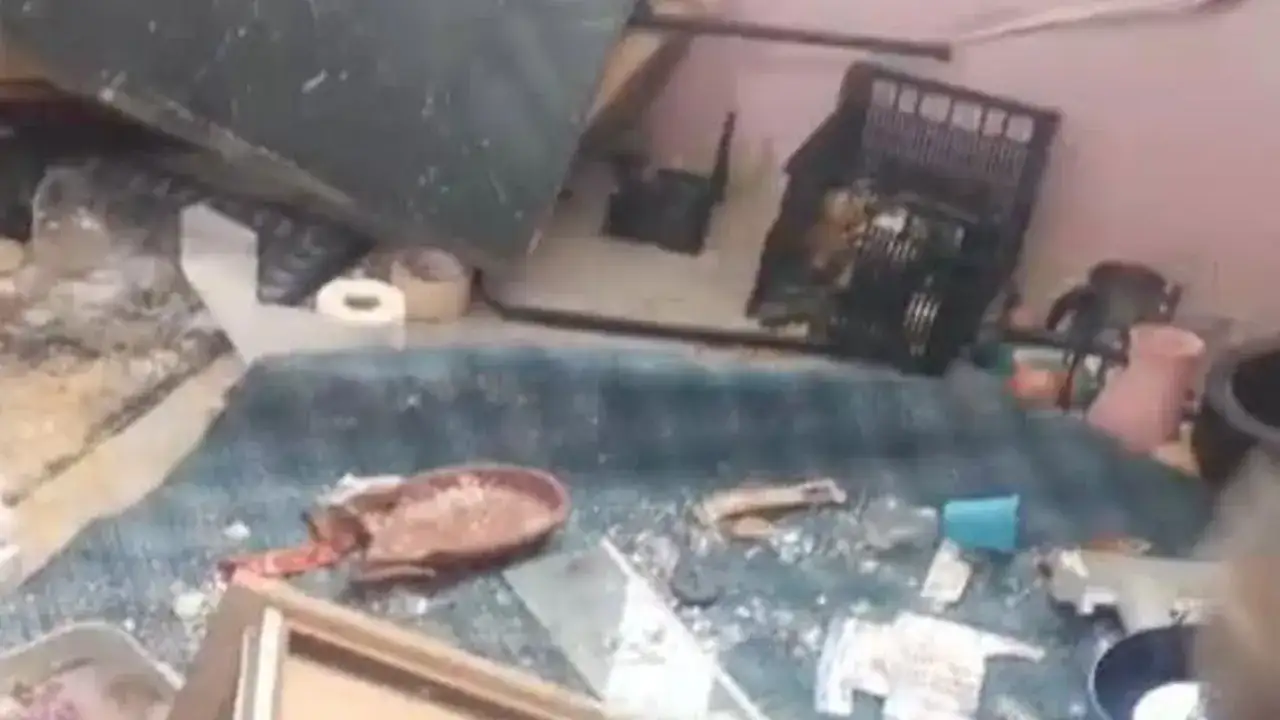 tonyada-ayi-panigi-yayla-evini-savas-alanina-cevirdi