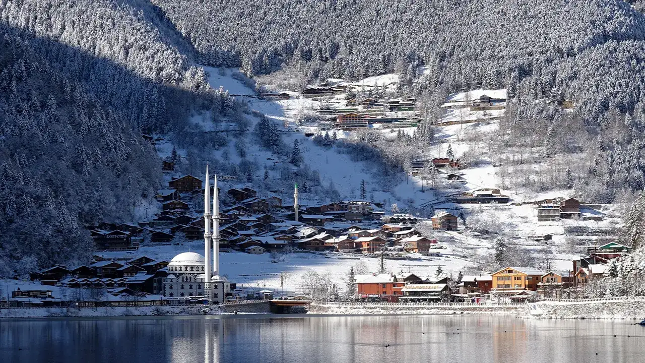 uzungol-rezervasyuon