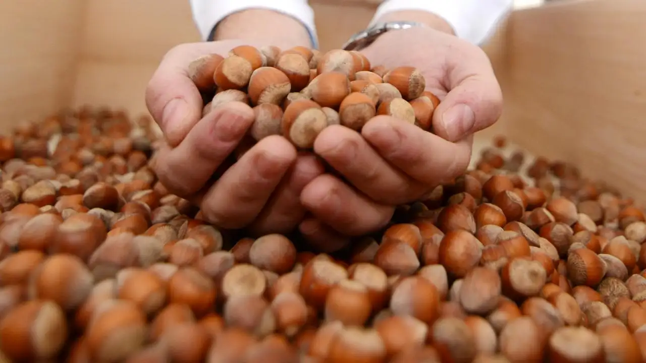 trabzon-ihracatinda-dikkat-ceken-degisim-ciddi-dusus-var