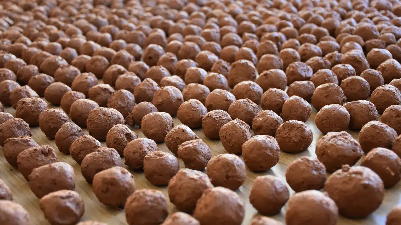 trabzonda-ogrencilerden-dogaya-destek-20-bin-tohum-topu-hazirlandi